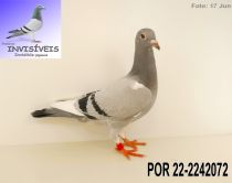 POR 22-2242072